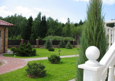 Крупномерные хвойные